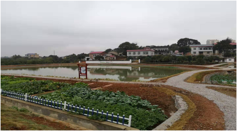 雨花区跳马镇最新规划,雨花区跳马镇到底行不行