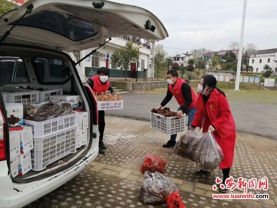 舒城最新消息全面解读