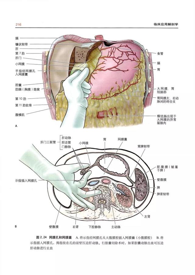 港澳台资料