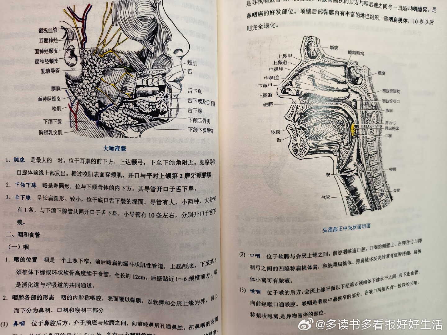 一一肖一码_时代资料解剖落实_尊贵版70.153.228.236