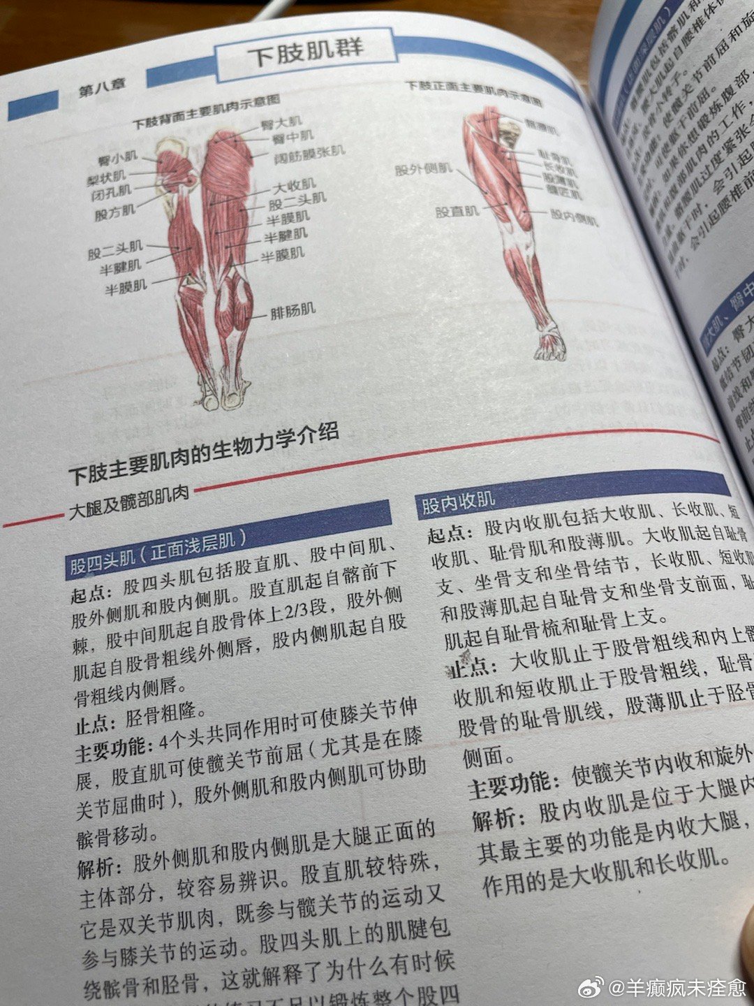 时代资料解剖落实