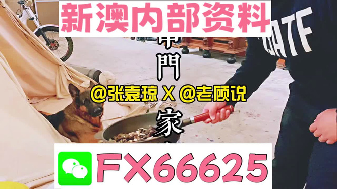 澳门管家婆免费资料查询_灵活解析_绝对经典_VS196.87.198.74