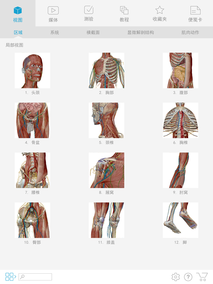 奥门内部最精准免费资料_解剖落实_数据资料_VS212.190.11.160